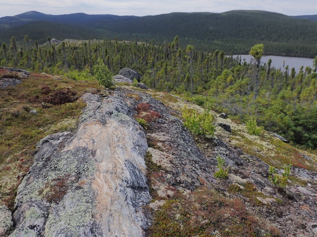 Highly strained granitic pegmatite showing an East-West foliation and significant uranophane mineralization located in the Katjuk (Arrow) Zone. One of multiple pegmatite units which are interleaved between a gossanous and silicified biotite schist and granitic gneiss.