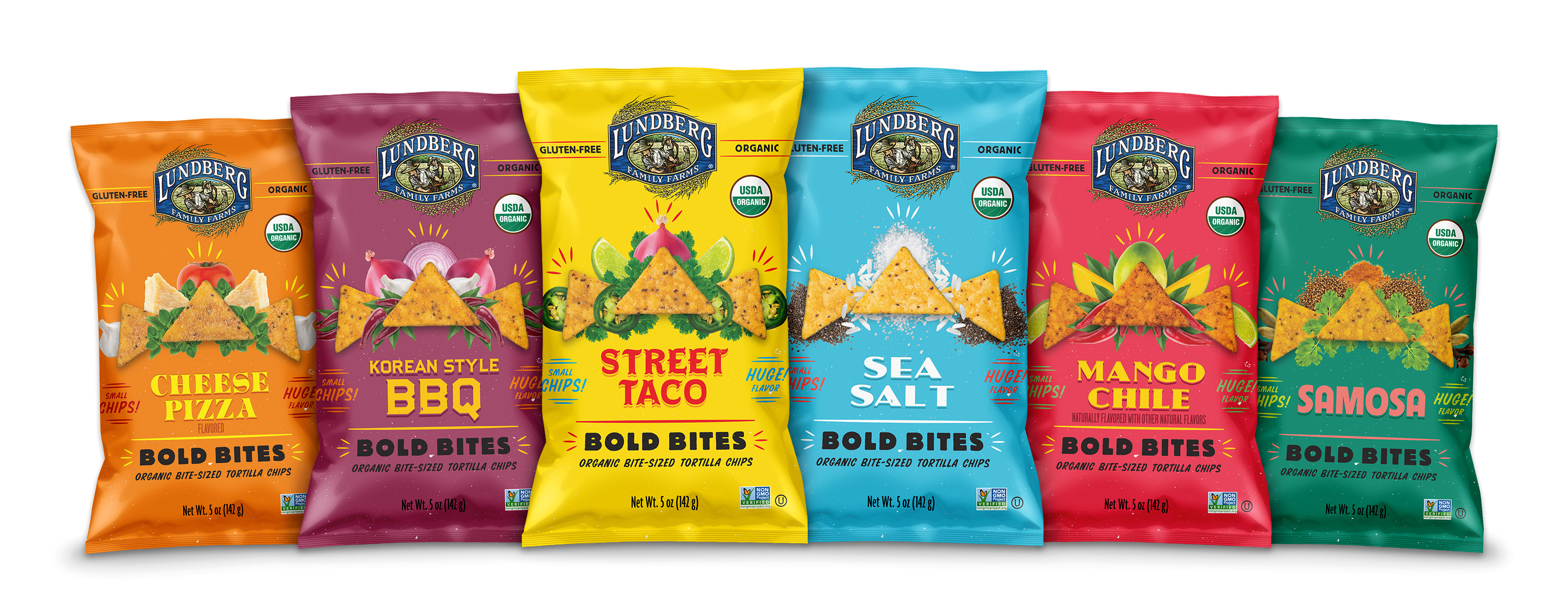 Bold Bites Chips: Cheese Pizza, Korean Style BBQ, Street TAco, Sea Salt, Mango Chile and Samosa 