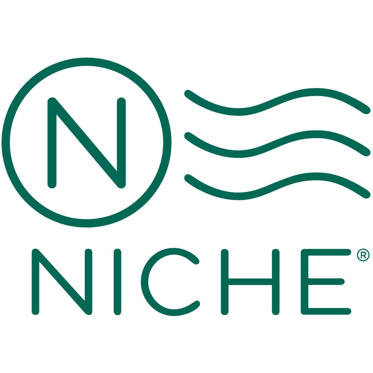 Niche Releases 2026 