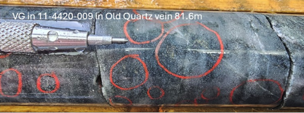 Figure 3. Visible gold showings in hole MM25D-11-4420-009. image
