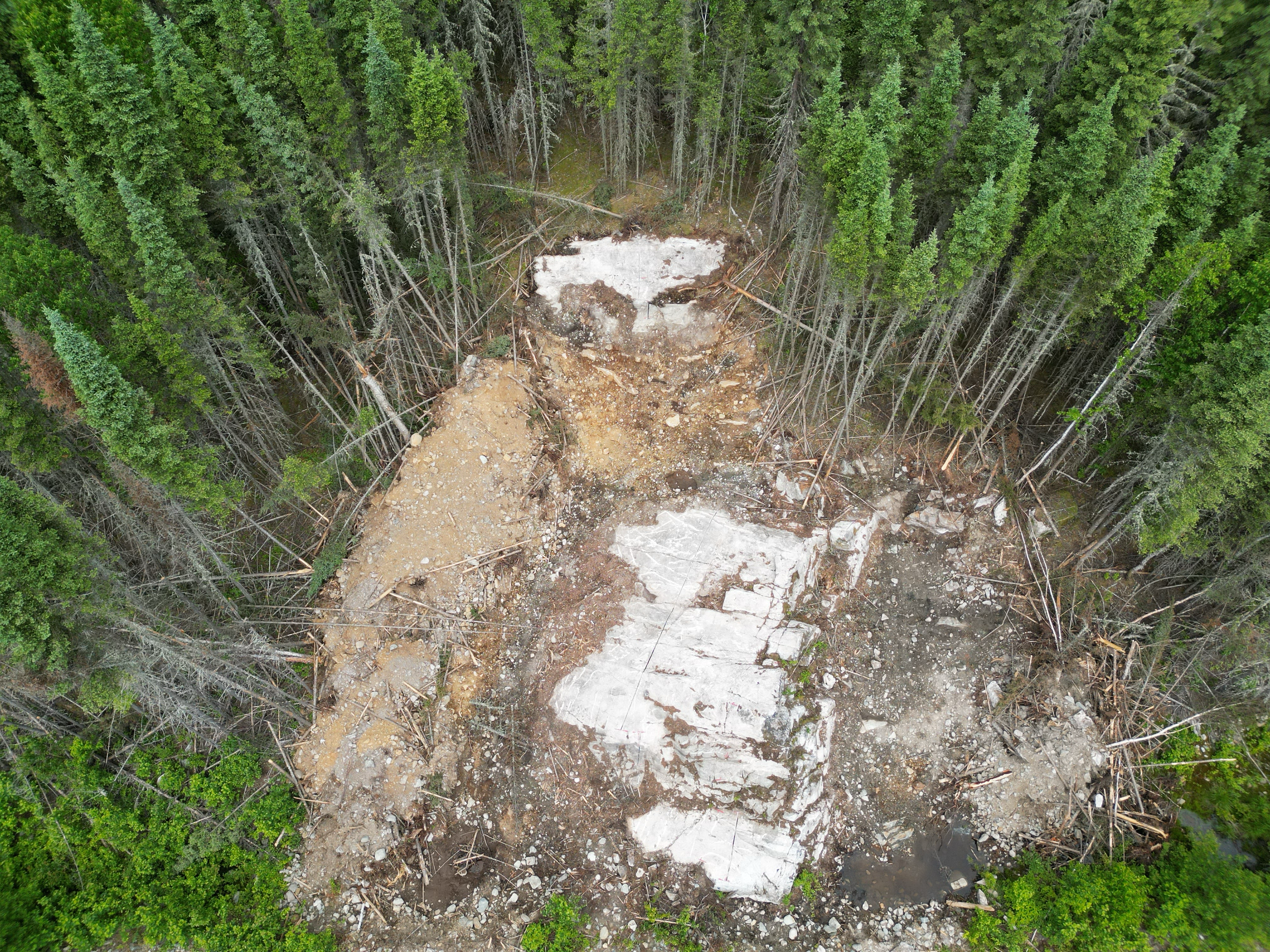 Figure 2 – Newly exposed pegmatite (Dyke 1) 