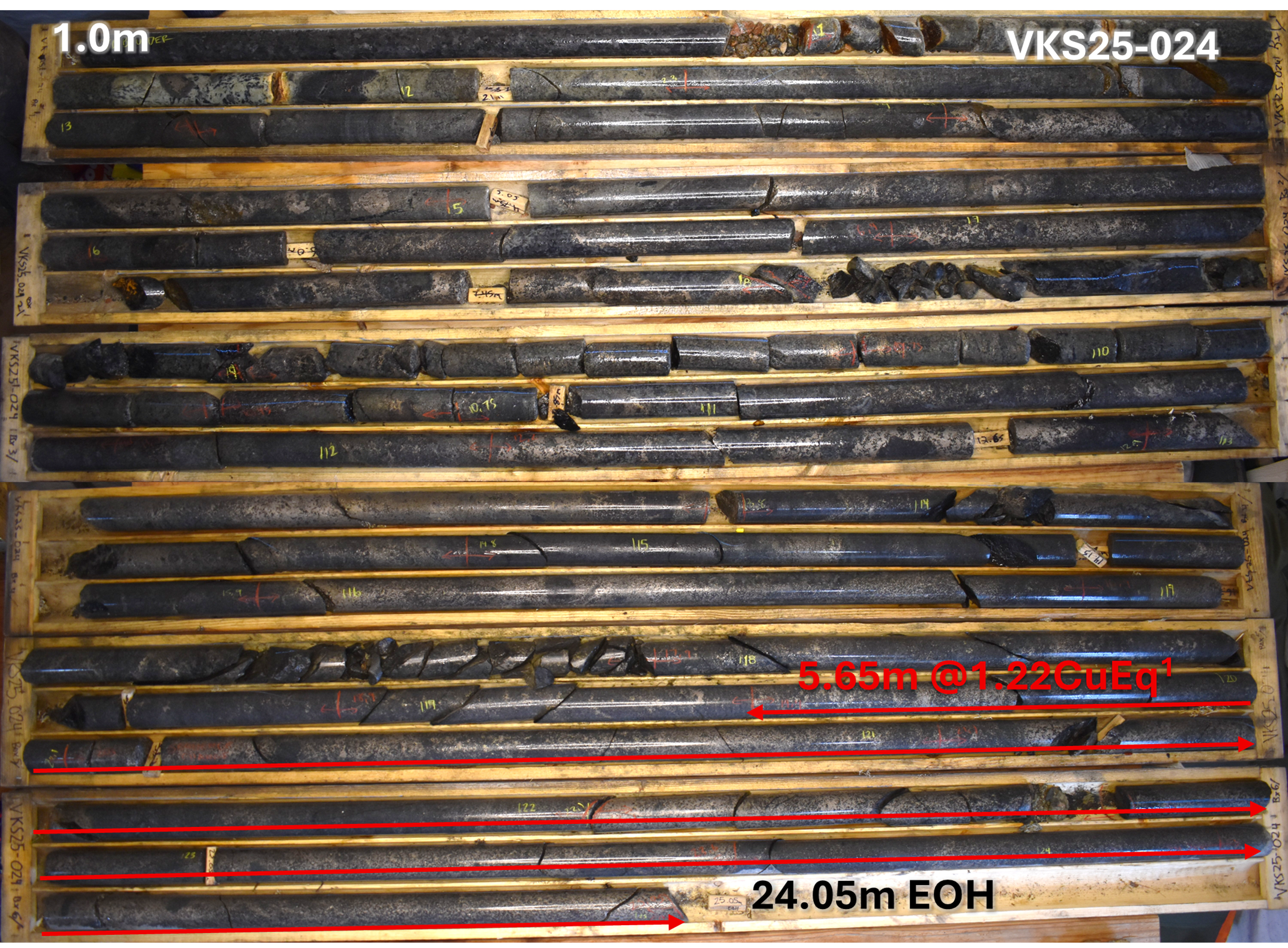 Figure 2 image