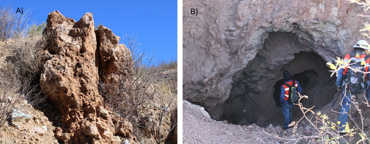 Figure 5 image