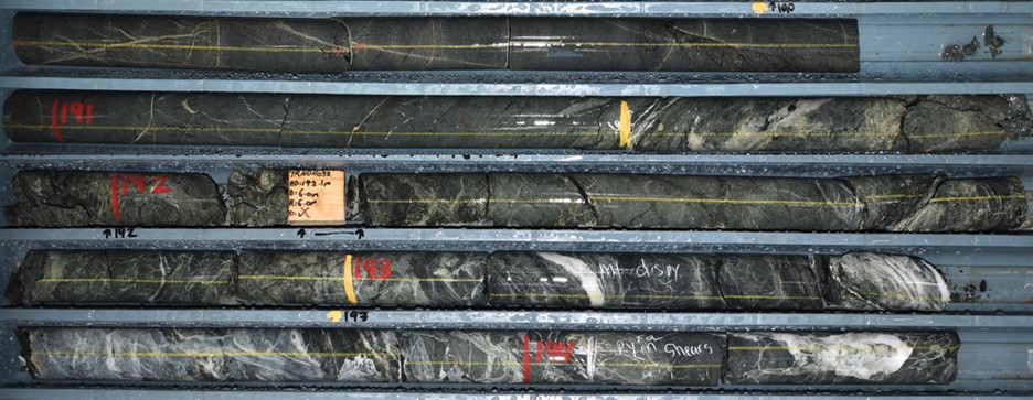 Drill core photo from Trangie hole TRNDH032 showing skarn-style alteration characterized by localized garnet-pyroxene-magnetite assemblages with retrograde chlorite-epidote overprinting. The interval from 190.0 m to 193.0 m returned 3.0 m grading 7.72 g/t gold