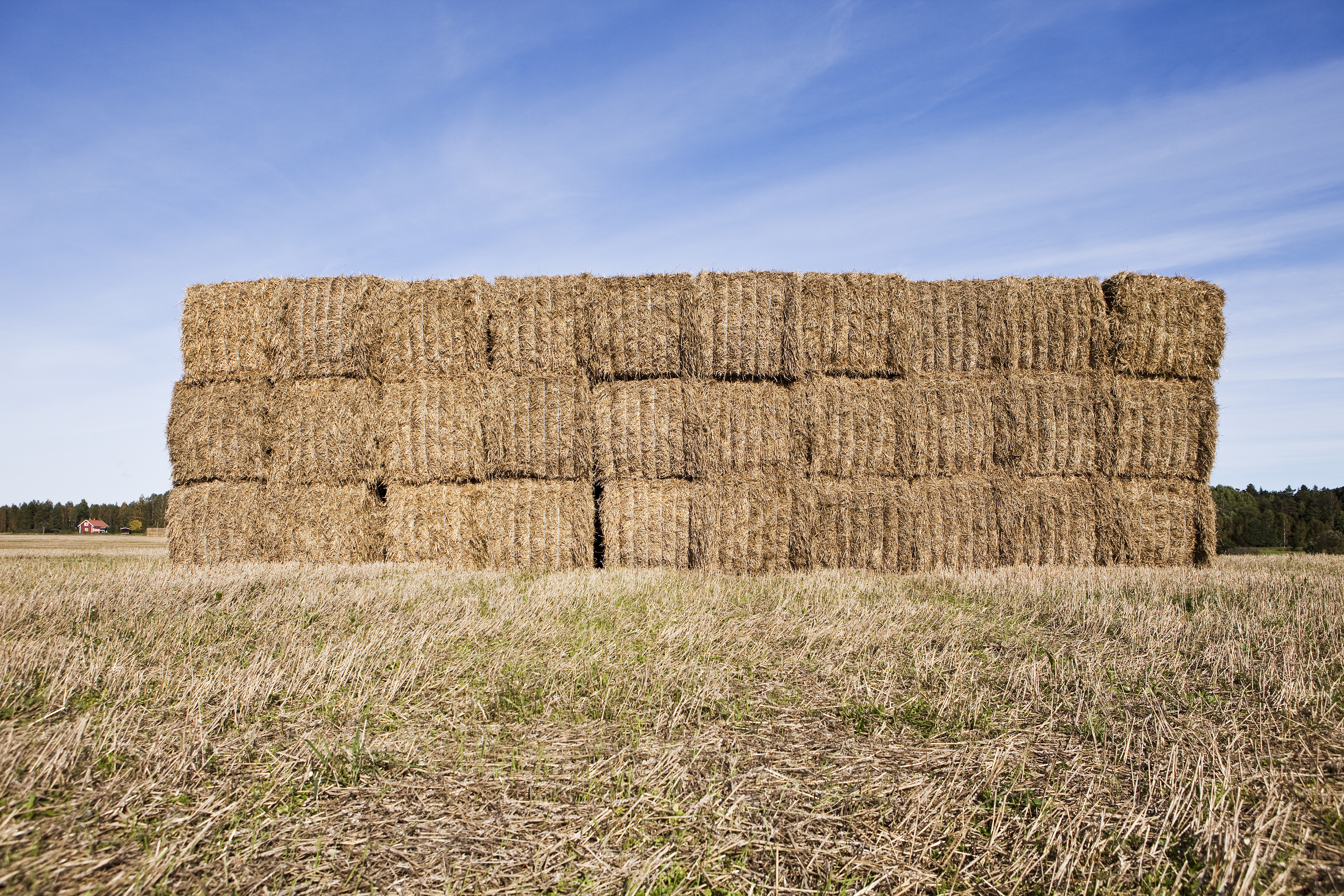 Stacked hay bales wrapped with baler twine