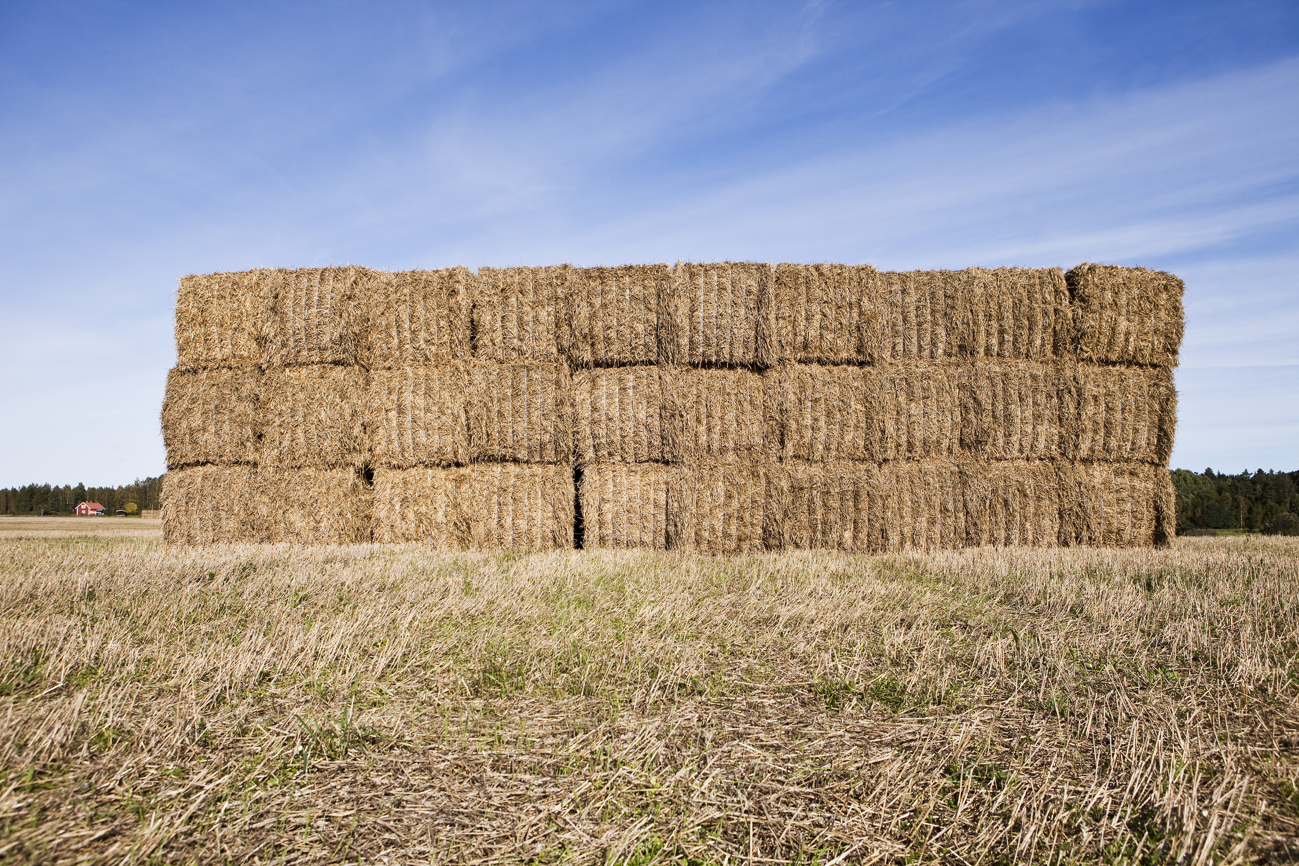 Cleanfarms Pilot Gives Farmers Access to Free Recycling for