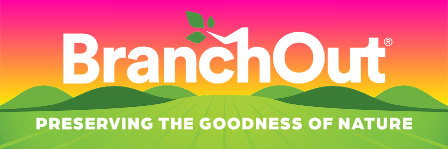 BranchOut Food Inc. 