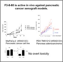 F3-8-60 is active in vivo against pancreatic cancer models.