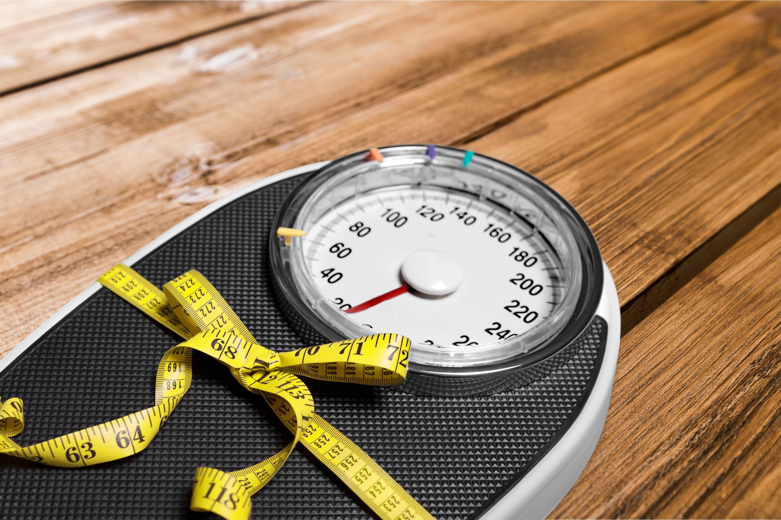 Scale_41572206_Lightowler_2