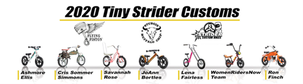 2020 Tiny Strider Customs