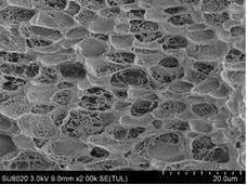 Scanning electron microscope image of a BIOCLENS lens