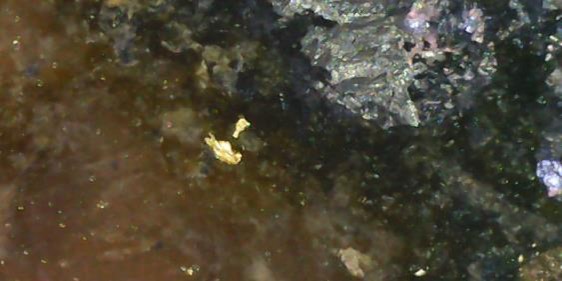 Visible Gold (Red Circles) Associated with Pyrite and Galena Veinlets and Disseminations within Episyenite Host Rock at Butiã Gold Deposit. This sample from drillhole 23BT014 spans the interval 245.0 m to 246.0 m and grades 8.4 g/t gold.