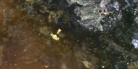 Visible Gold (Red Circles) Associated with Pyrite and Galena Veinlets and Disseminations within Episyenite Host Rock at Butiã Gold Deposit. This sampl