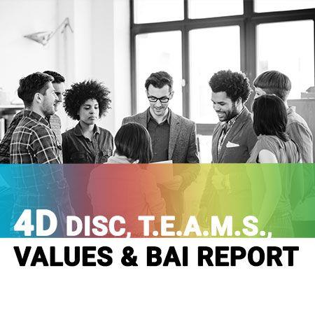PeopleKeys 4-Dimensions (4D) Report with DISC, T.E.A.M.S., Values and BAI