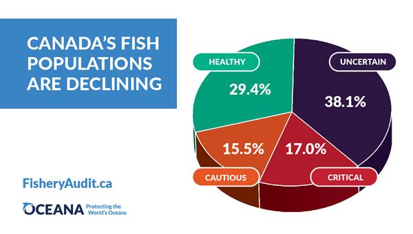 Canada's Fish Populations are Declining