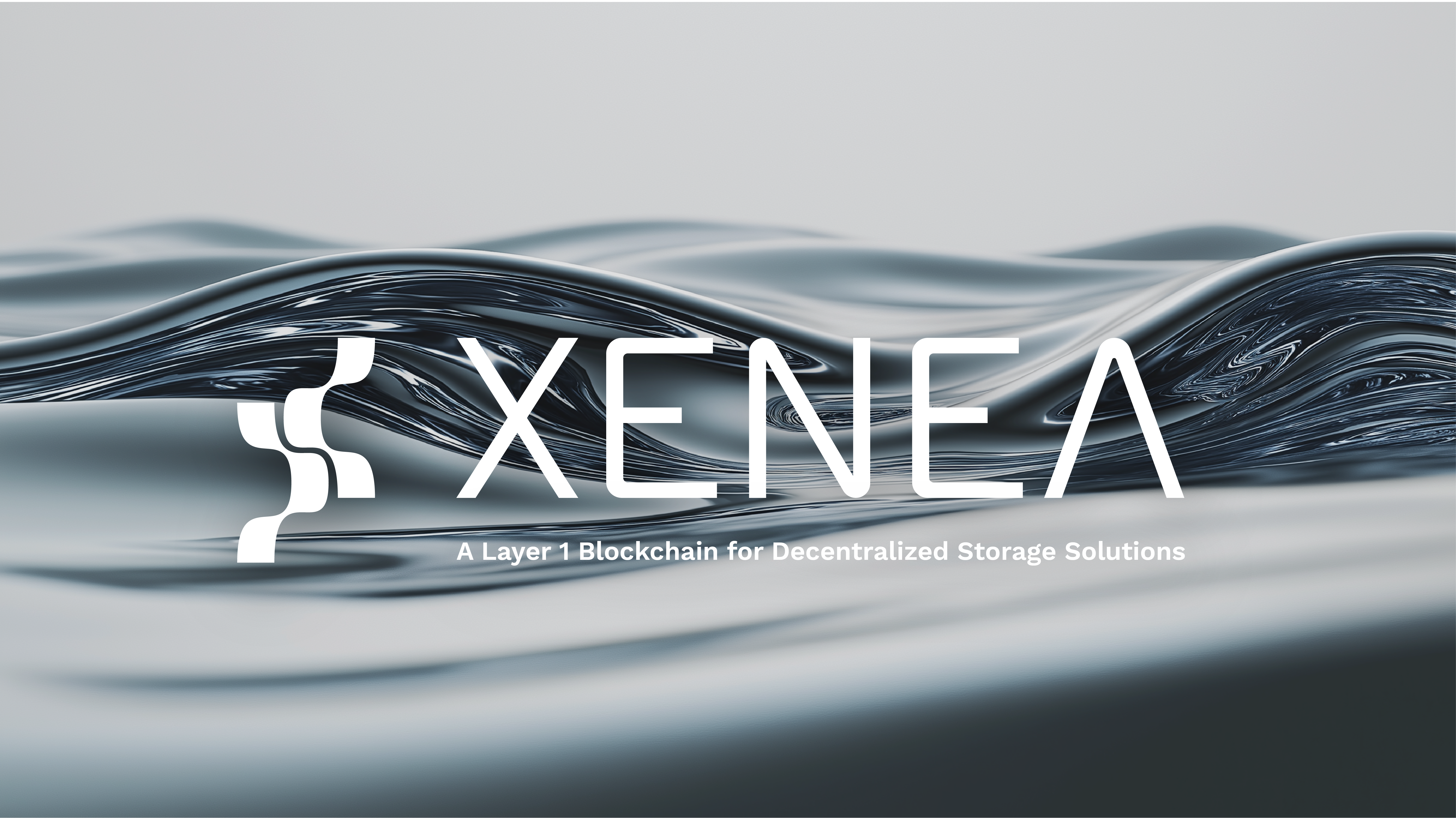 Xenea_X_Visua image 