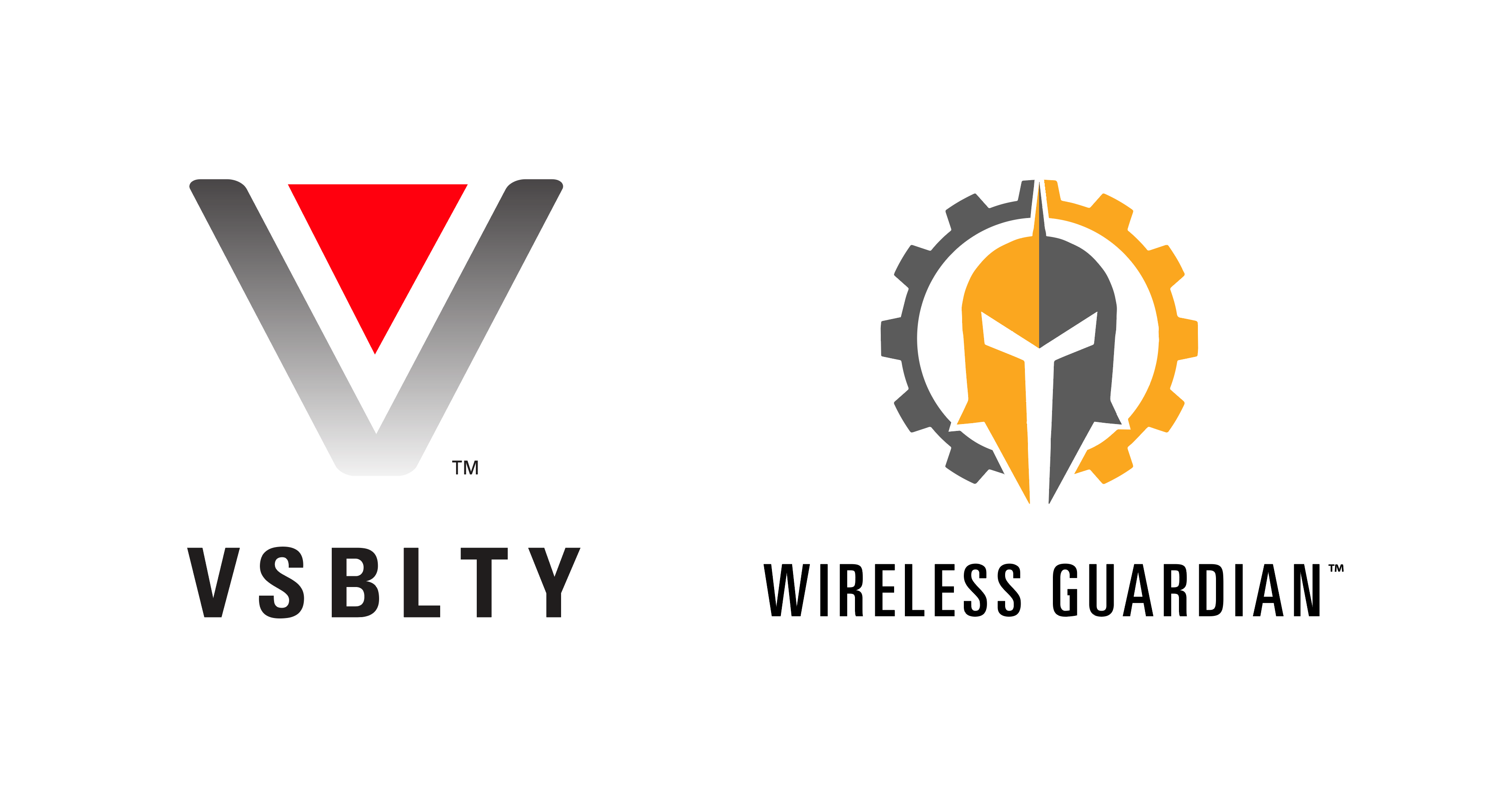 VSBLTY & WIRELESS GU