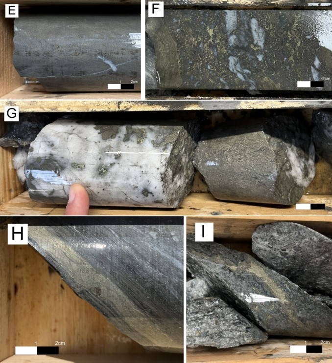 Figure 5 continued image