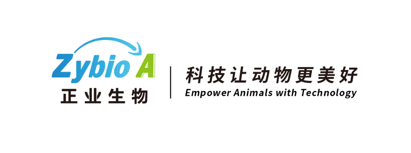 ZYBT Logo.png