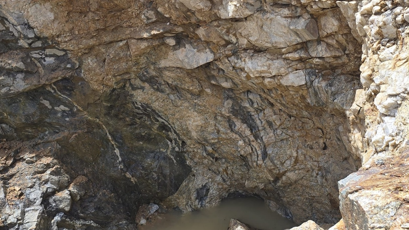 Figure 4 image