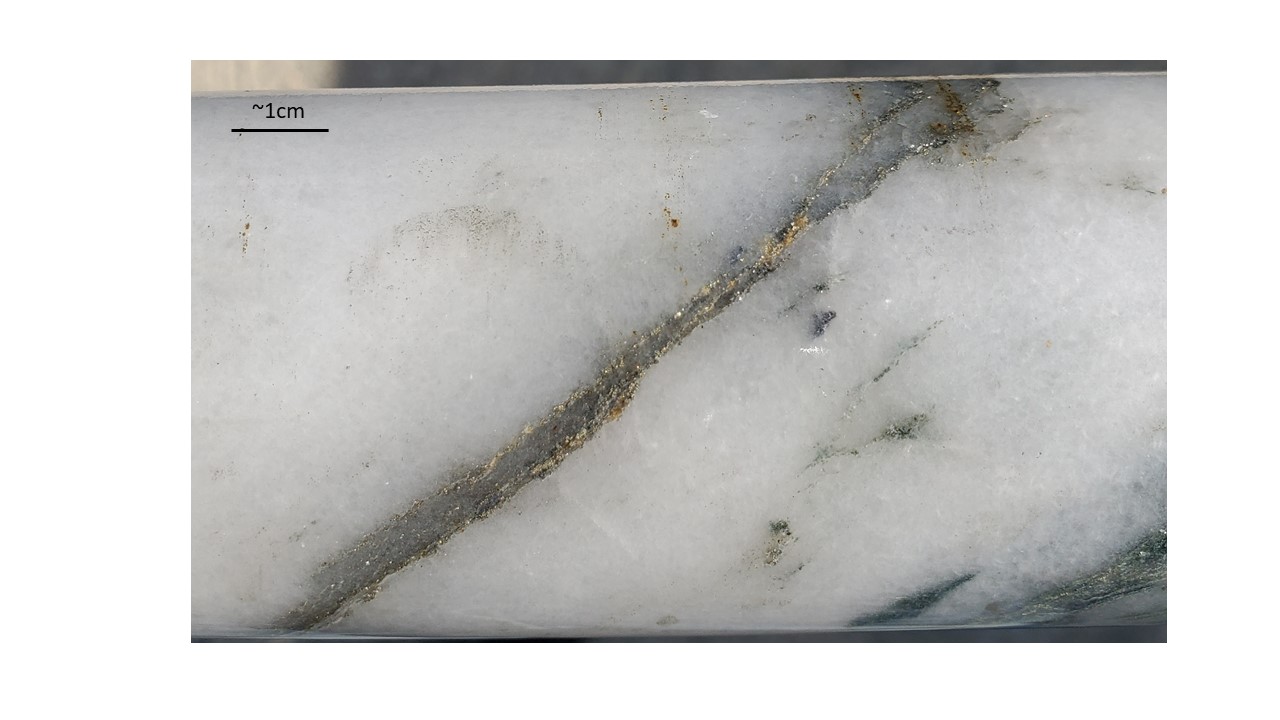 july2020Figure 3 - Photograph of VG in Core from Falcon Zone