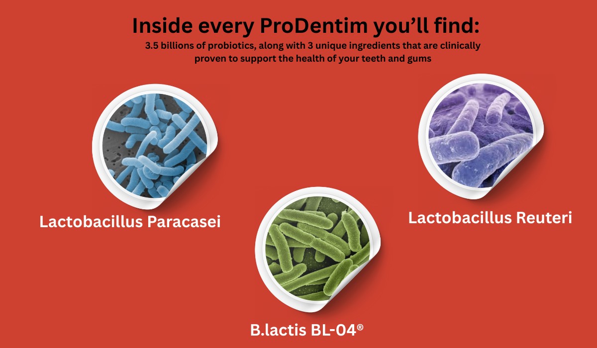 ProDentim Ingredients