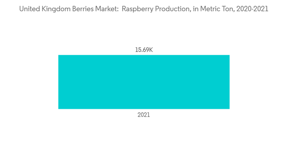 United Kingdom Berries Market United Kingdom Berries Market Raspberry Production In Metric Ton 2020 2021