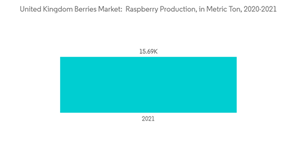 United Kingdom Berries Market United Kingdom Berries Market Raspberry Production In Metric Ton 2020 2021