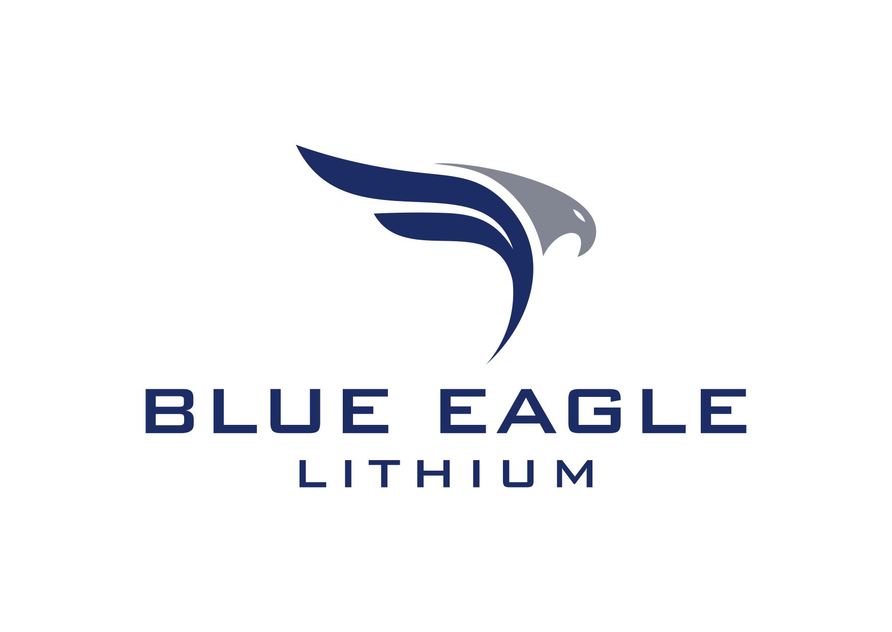 BlueEagle_logo.jpg