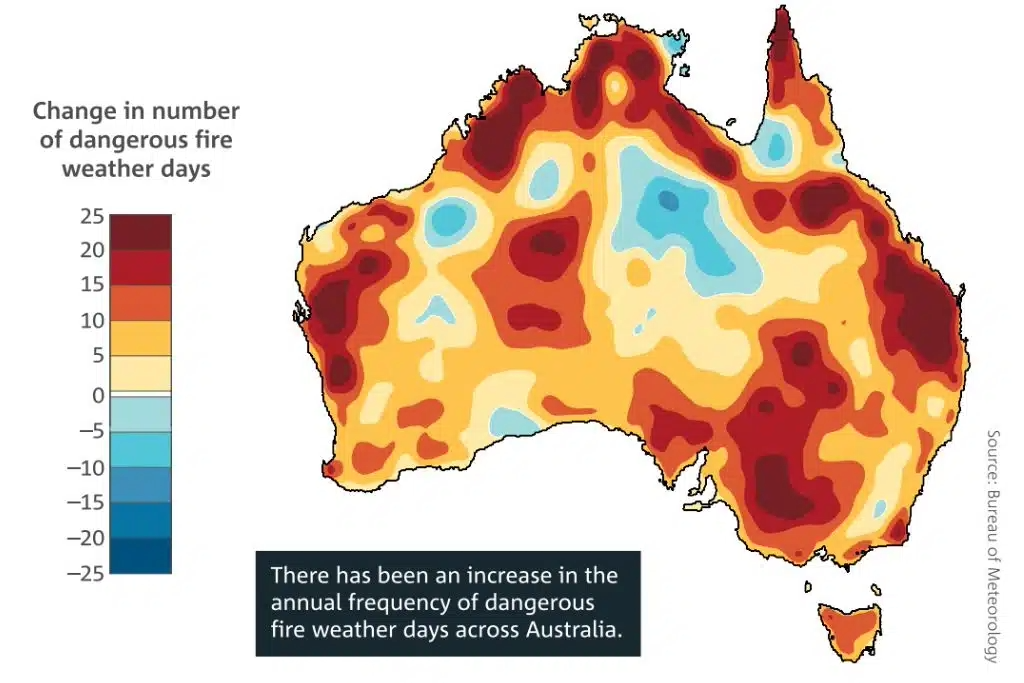 AUS Wildfires 2024