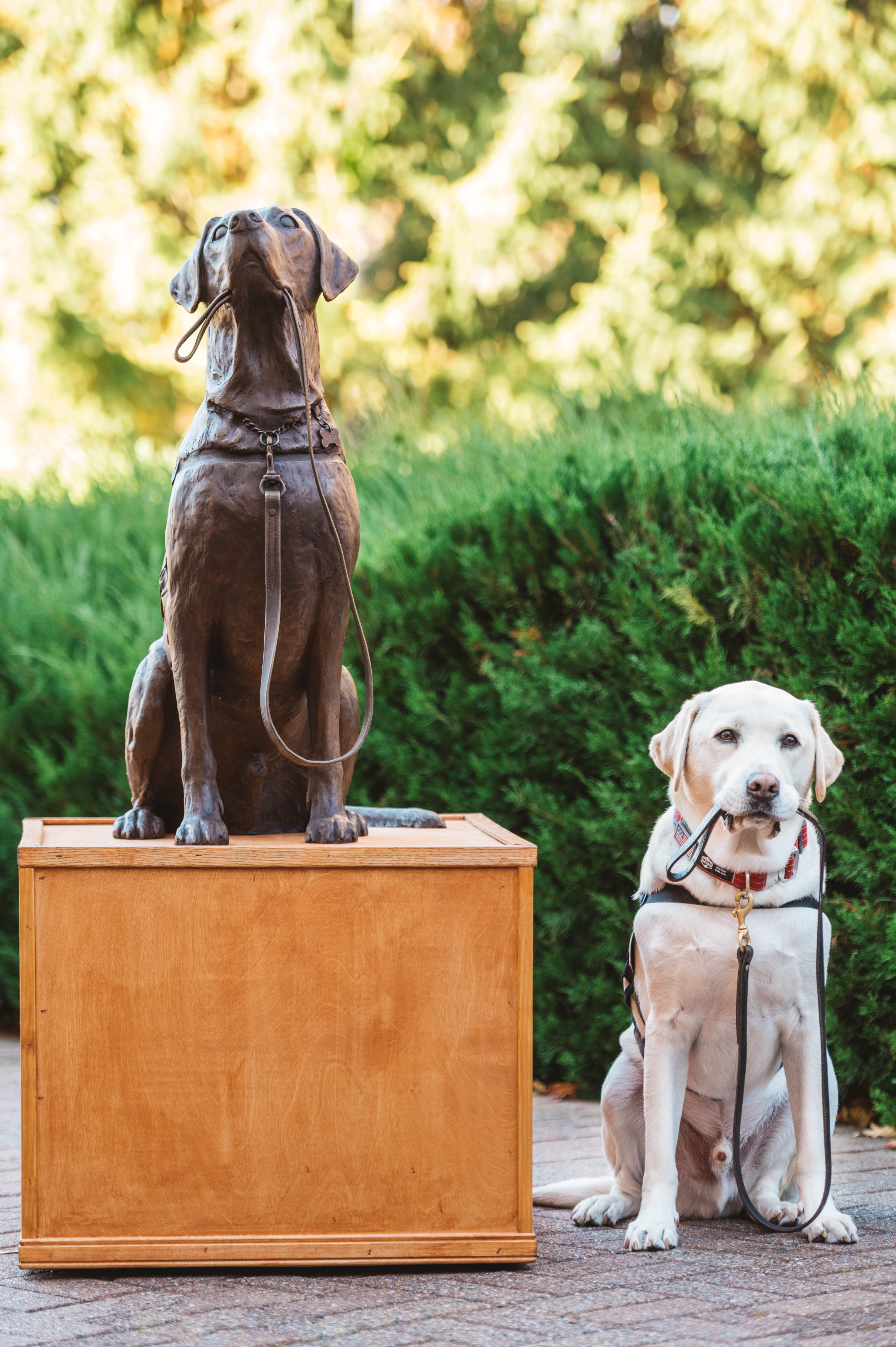 America’s VetDogs’ Sully H.W. Bush Honored at National Service Animals Memorial 2nd Annual Purple Poppy Awards