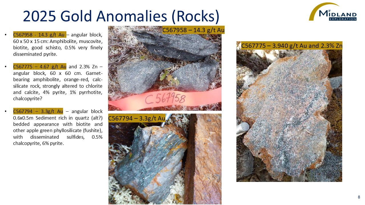 Figure 8 2025 Gold Anomalies (Rocks)