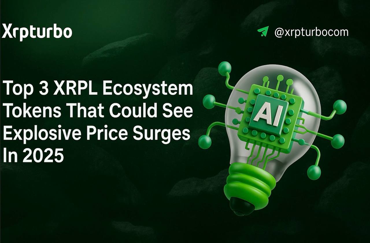 XRPTurbo