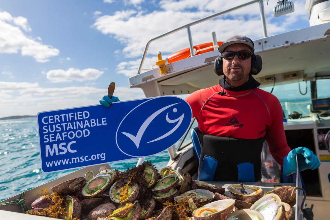 'Blue fish tick' has been the key driver of sustainable