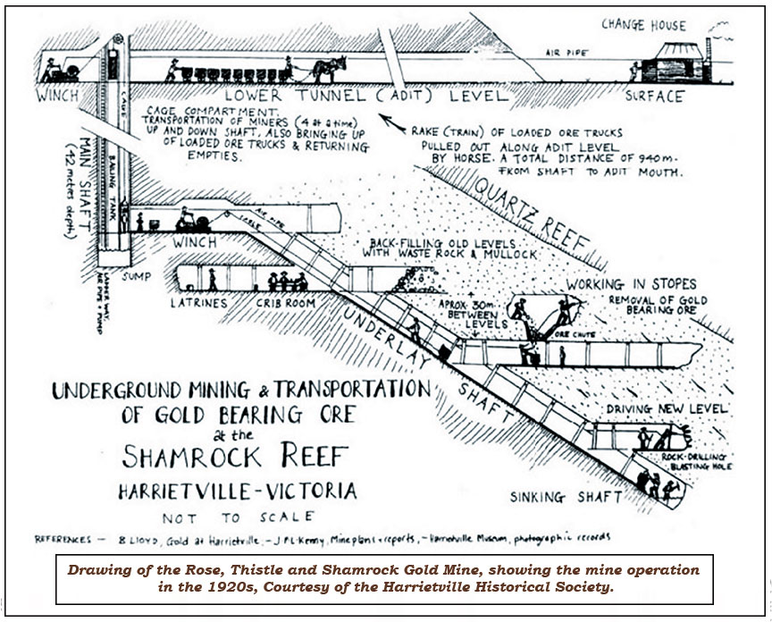 20220122 AIS Fig 4 Rose Thistle & Shamrock Mine