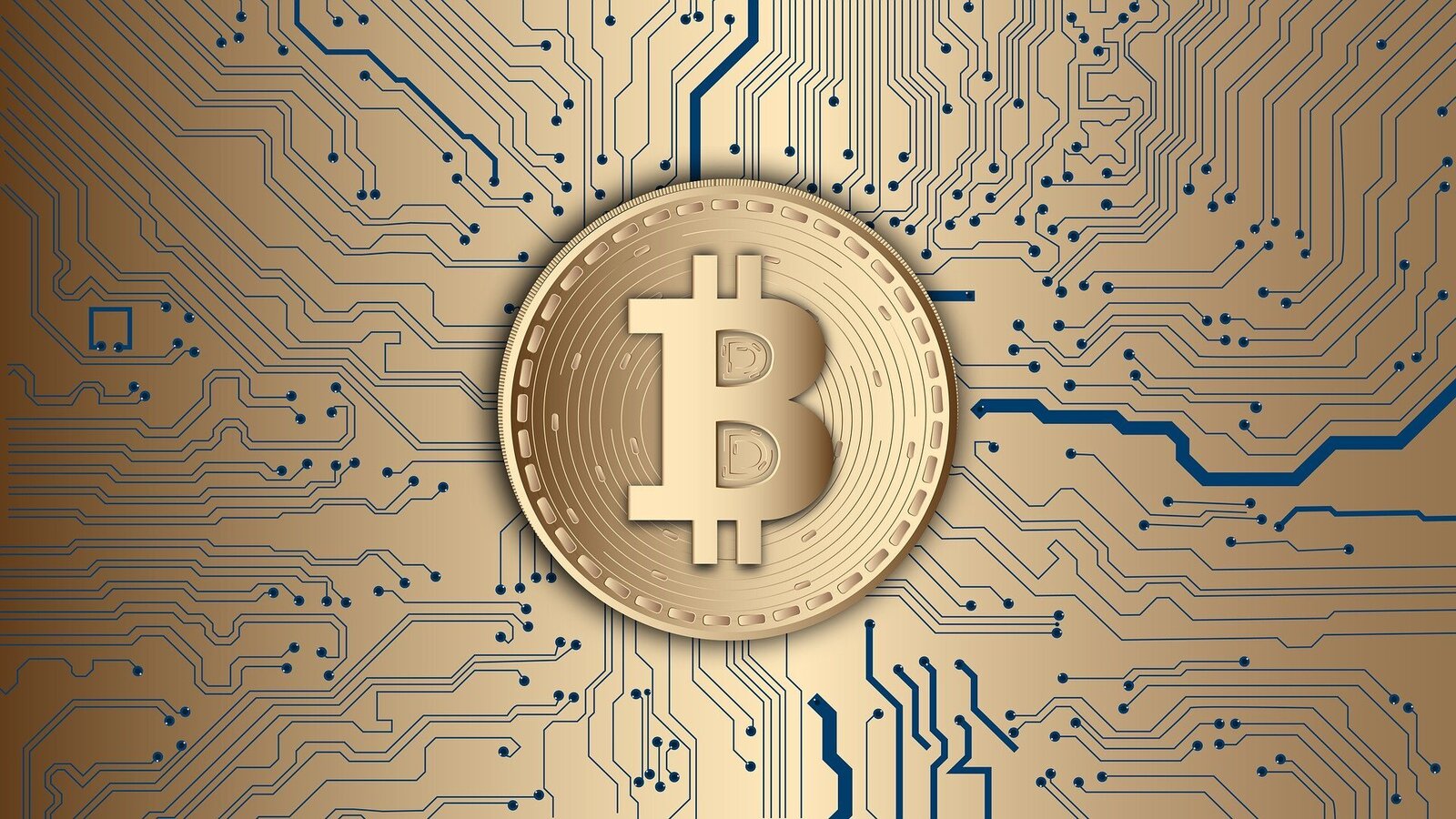 With so many auto-trading robots on the market, you need to know if the Bitcoin Revolution has what it takes to earn you a lot of money. Find out from this review.