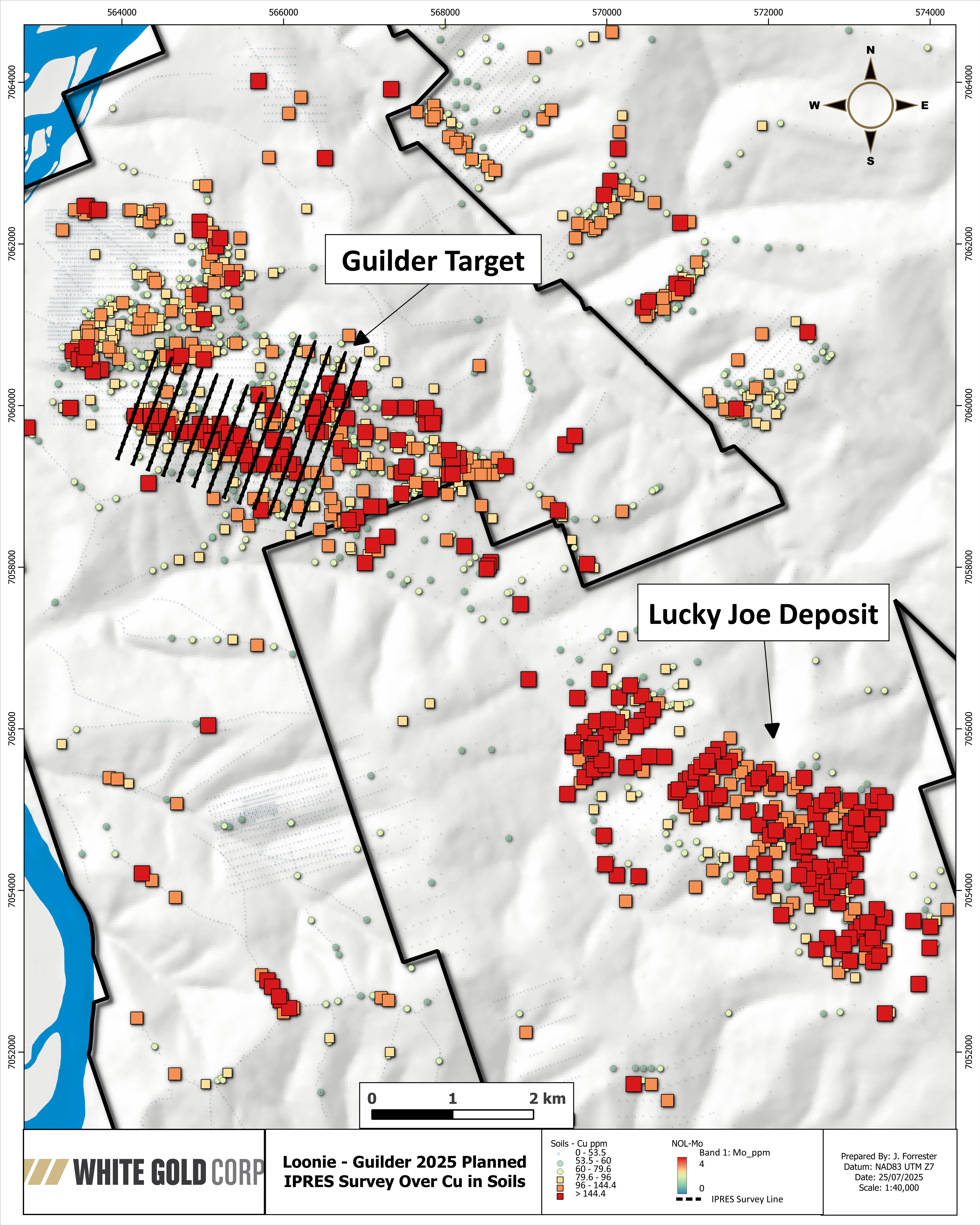 Figure 4 image