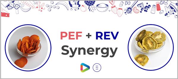 PEF REV Synergy