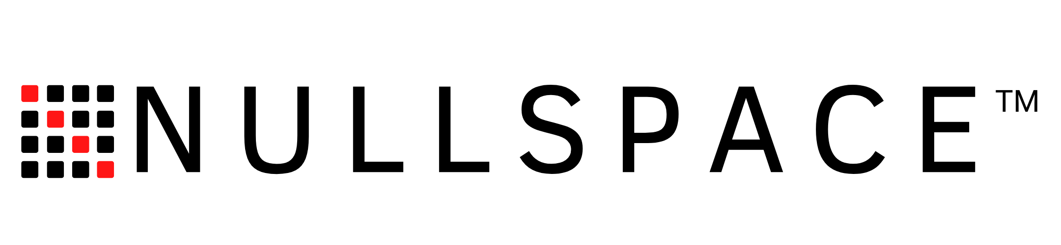 Nullspace TM Horizontal Logo - Black.png