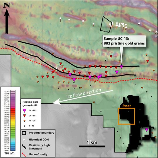 Map highlighting anomalous gold grains-in-till at the Golden Corridor.