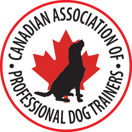 CAPDT Logo FINAL.png