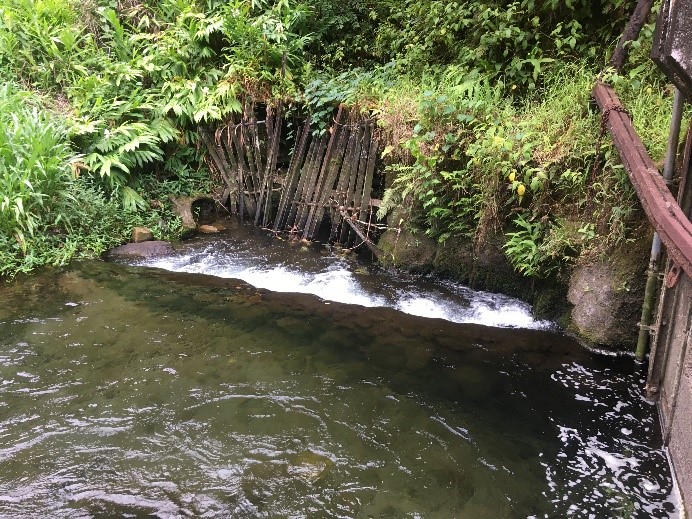 Before 2018 Hurricanes Damage