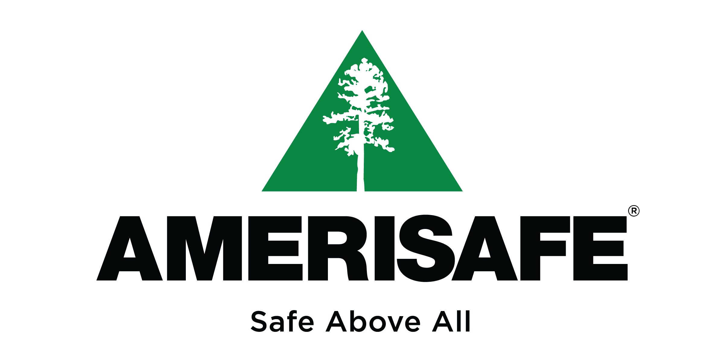amerisafe logo.png