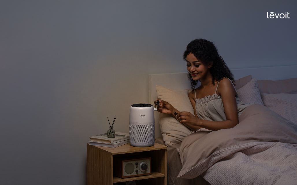 Levoit Core Mini compact air purifier for small spaces Mother's Day gift