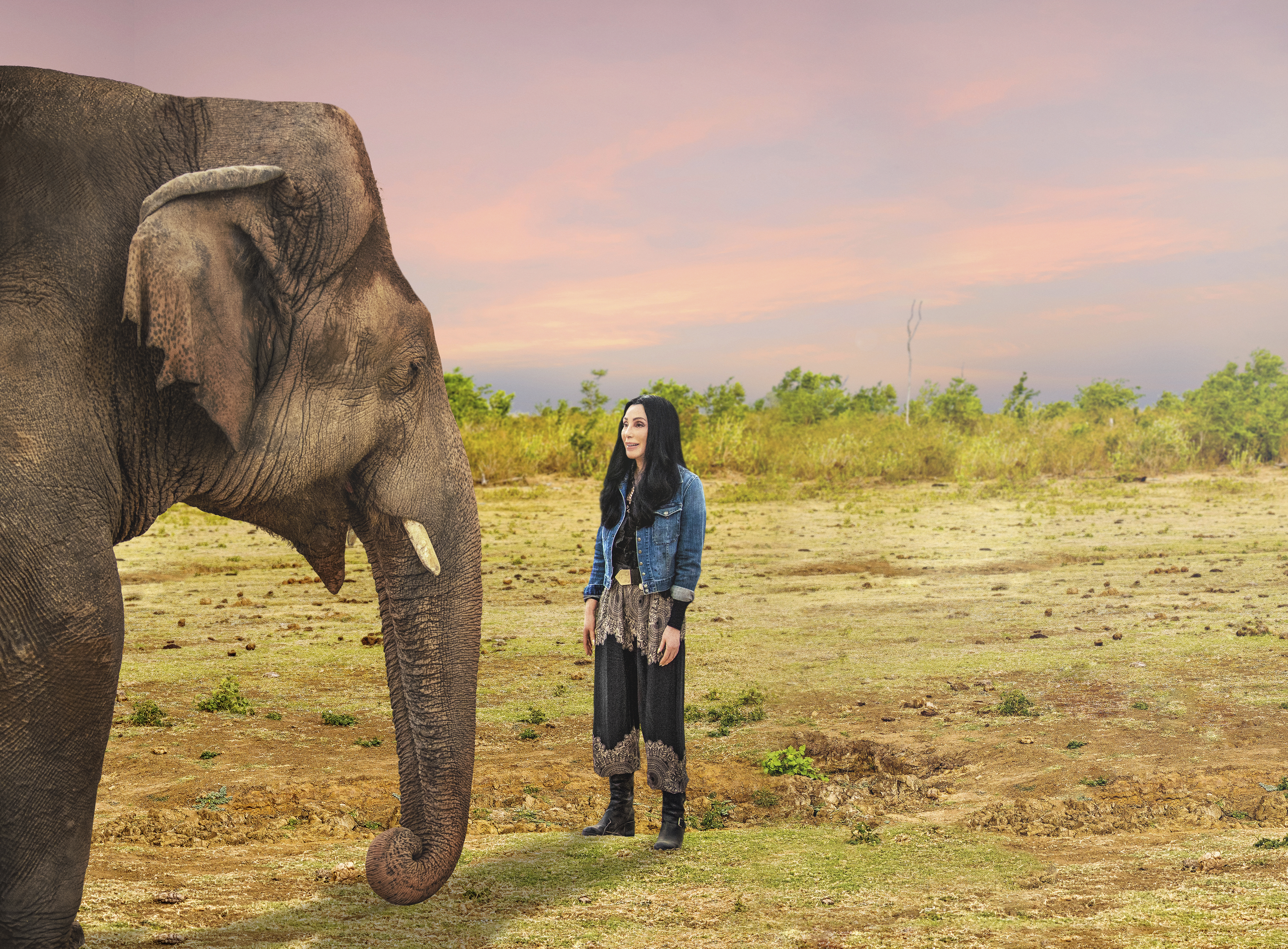 Cher & The Loneliest Elephant