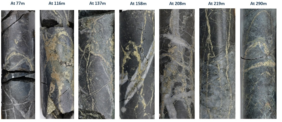 Figure 1 - Core Photos from SLSE-28