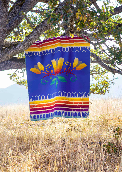 The Courage to Bloom blanket by Deshawna Anderson is being manufactured by Pendleton Woolen Mills for spring deliveries. The blanket can be pre-ordered on their web site at https://www.pendleton-usa.com/blankets/featured-blankets/american-indian-college-fund/.