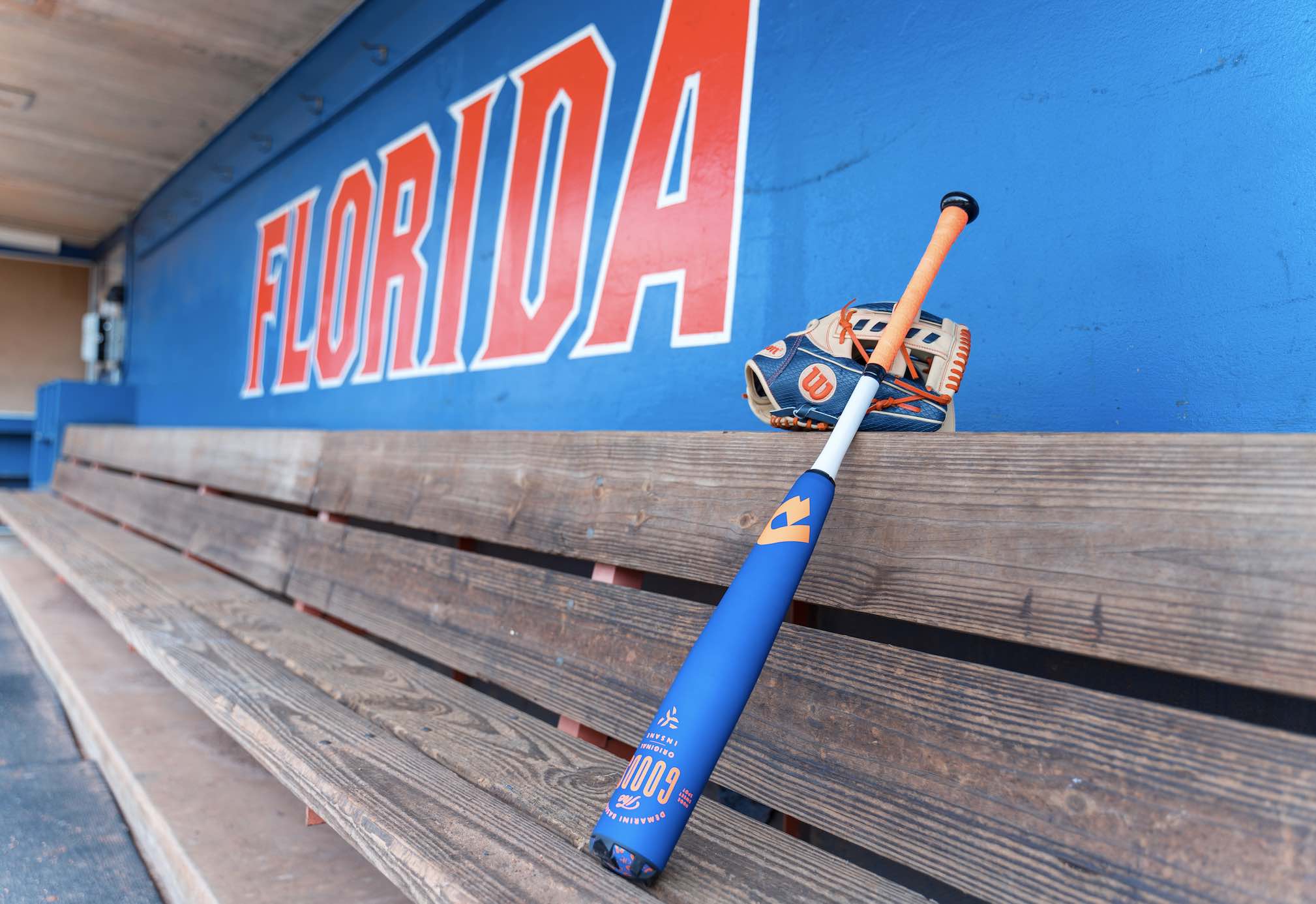 University of Florida (UF) baseball glove day.