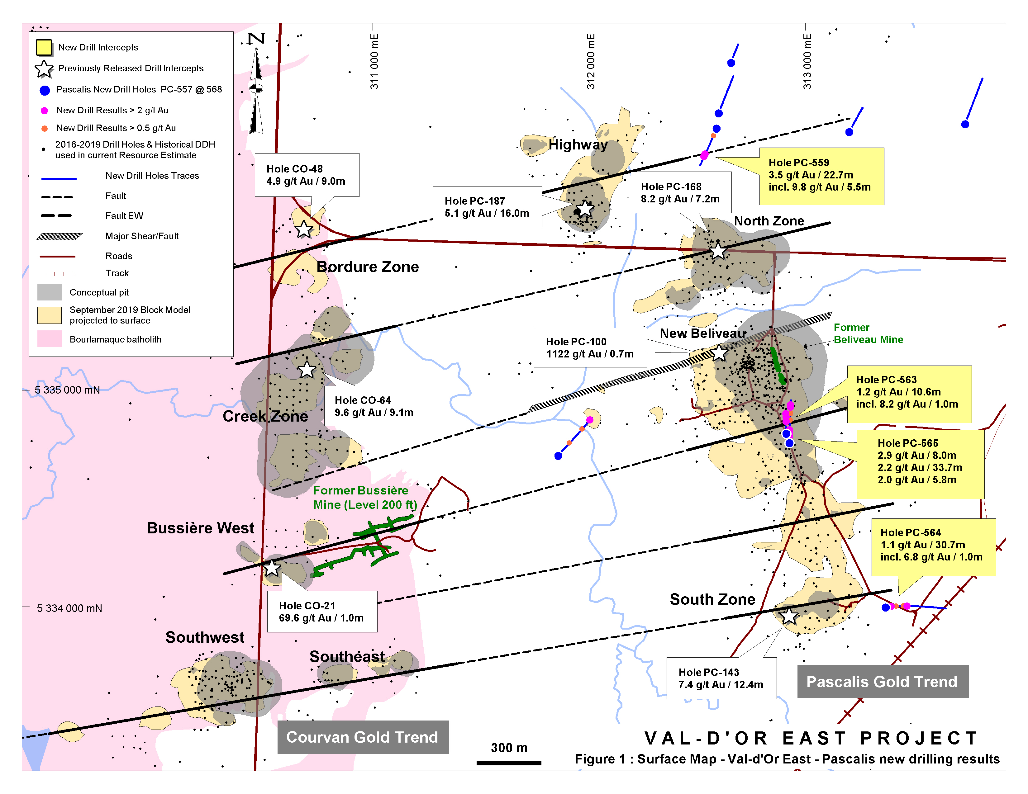 VDE-Pascalis-Surface Map-202001