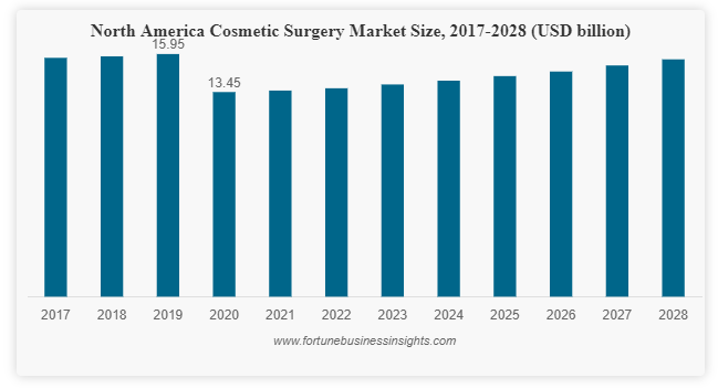 With 3.6% CAGR, Cosmetic Surgery Market Size worth USD 58.78 Billion in 2028